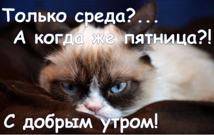 Открытки
